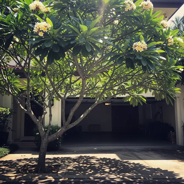 Pohon yang Cocok untuk Area Garasi Outdoor di Depan Rumah (AI Generated)