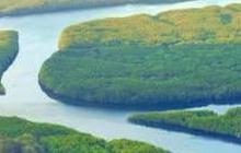 Sungai Amazon Sering Dianggap Punya Aliran Paling Jauh, Ternyata Ini Sungai Terpanjang di Dunia