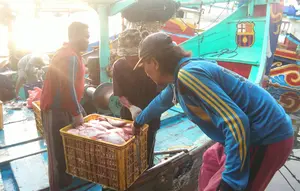 Awak Kapal Perikanan Wajib Punya Sertifikat Kompetensi hingga BPJS Ketenagakerjaan