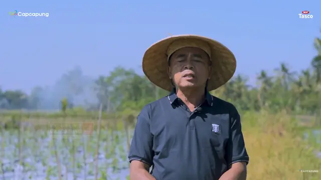 Kisah Guru SD Banting Setir Jadi Petani Cabai, Untung Ratusan Juta hingga Bisa Beli Motor Harley