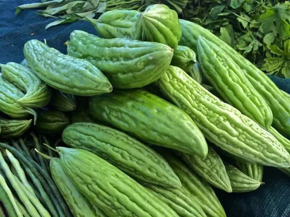 Favorit Happy Asmara, Cara Membuat Minuman Kolagen dari Pare untuk Kulit Sehat