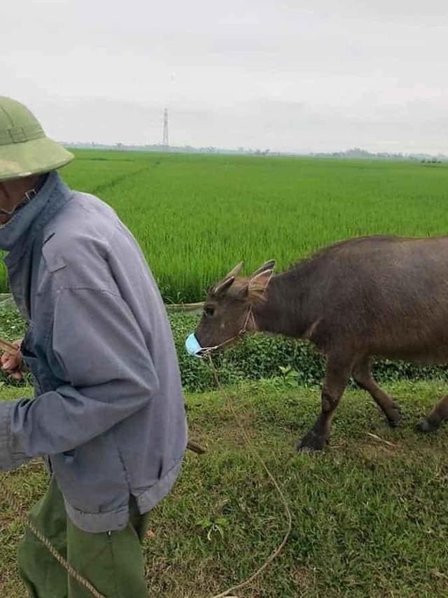 6 Tingkah Super Nyeleneh Bapak-Bapak di Era New Normal