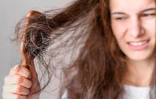 5 Rekomendasi Sampo untuk Rambut Kering Terbaik 2024