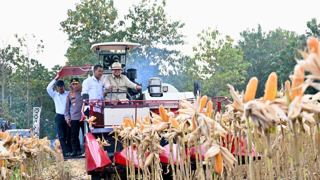 Presiden Prabowo Turun Langsung Panen Jagung di Tuban, Sempat Nyetir Traktor Jenis Combine Corn Harvester