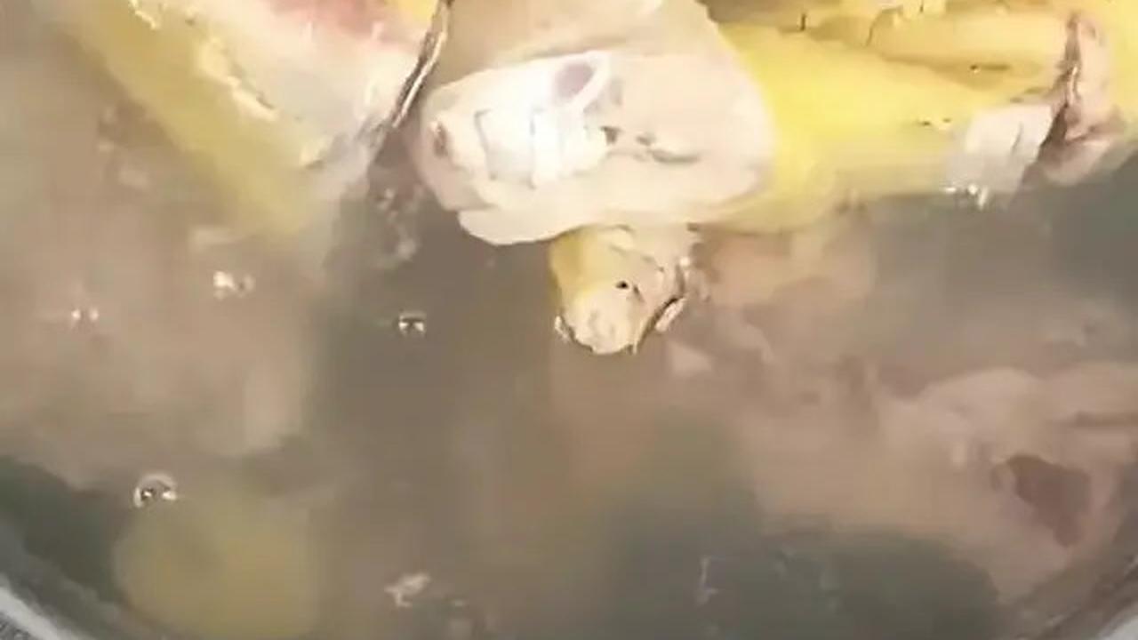 Cara Memasak Ayam Kampung Agar Empuk Tanpa Presto, Cukup Pakai Bahan Dapur Ini