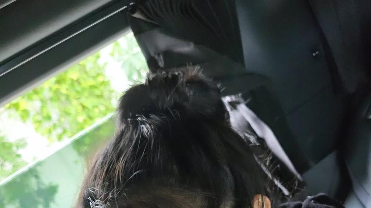 Terbiasa Tampil Cantik Sempurna, Begini Potret Bella Bonita dengan Pose Gak Banget
