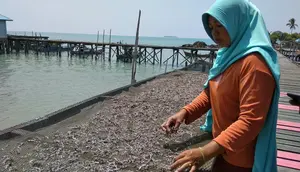 Ironi Natuna: Gas Mengalir ke Singapura, Warga Pakai Minyak Tanah