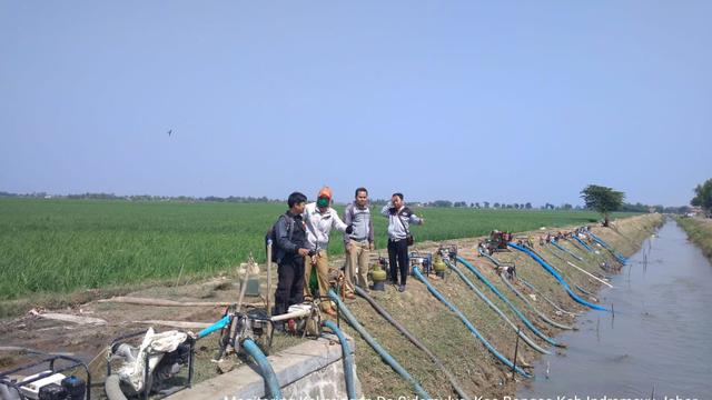 Kementan Turunkan Ratusan Pompa Hadapi Kekeringan Indramayu