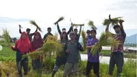 The Learning Farm, Program Petani Muda Indonesia. (dok.Instagram @thelearningfarm.idn/https://www.instagram.com/p/Br-Pfw-BMHx/Henry)