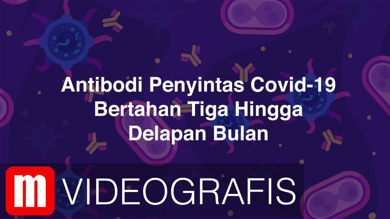 VIDEOGRAFIS: Antibodi Penyintas Covid-19 Bertahan Tiga Hingga Delapan Bulan