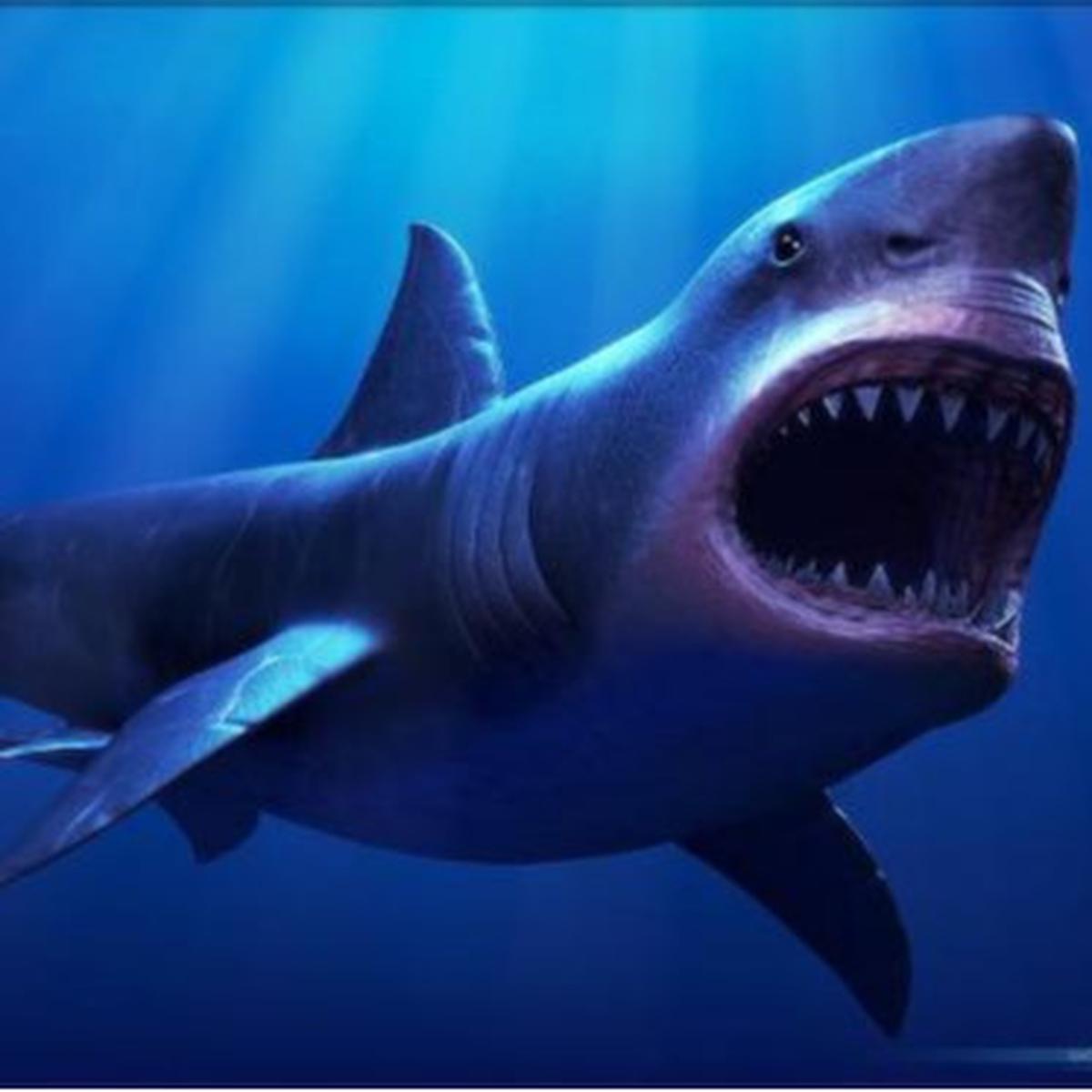 Megalodon, Hiu Raksasa Ternyata Masih Hidup