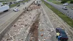 Ratusan pizza beku berserakan di Jalan Raya Arkansas, Amerika Serikat, 9 Agustus 2017. Kejadian disebabkan truk pembawa pizza beku dengan 18 roda kehilangan kendali setelah melintasi jembatan dan terbalik. (Arkansas Department of Transportation via AP)