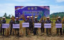 TNI AL Sukses Panen 8 Ton Kedelai MIGO AL.1-89 di Bolmut, Perkuat Ketahanan Pangan Nasional
