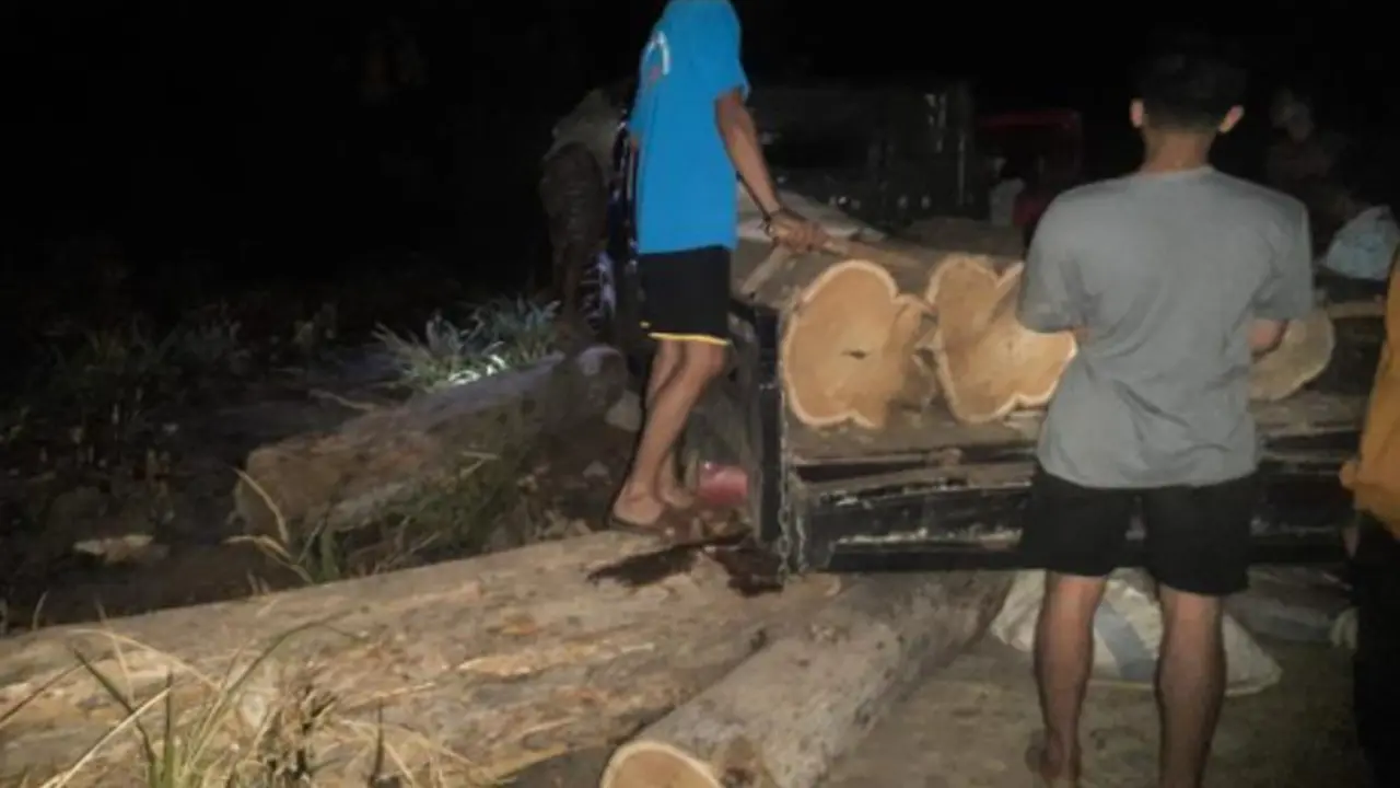 Buronan Kasus Pembalakan Liar di TN Baluran Ditangkap, Terancam Penjara Lima Tahun dan Denda Rp2,5 Miliar