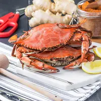 Ilustrasi/copyright shutterstock.com