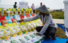 Bapanas Salurkan 7,7 Juta Ton Cadangan Beras Pemerintah (CBP) Sepanjang 2023-2025 untuk Stabilisasi Pangan