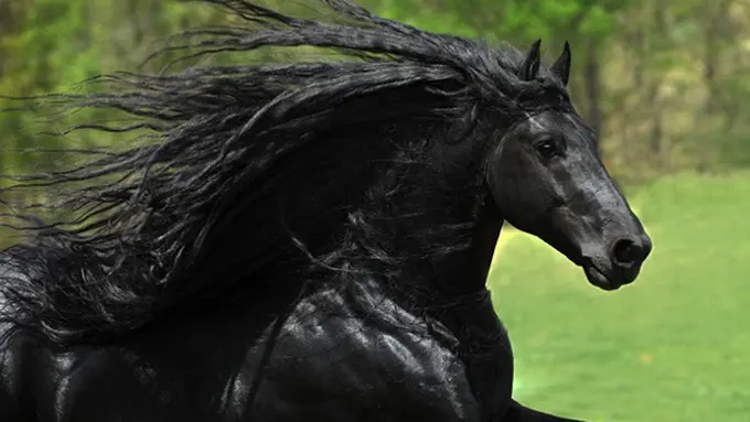 Photo: Copyright asiantown.net