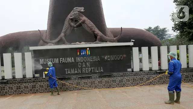 Aksi Petugas Semprotkan Disinfektan Cegah COVID-19 di TMII