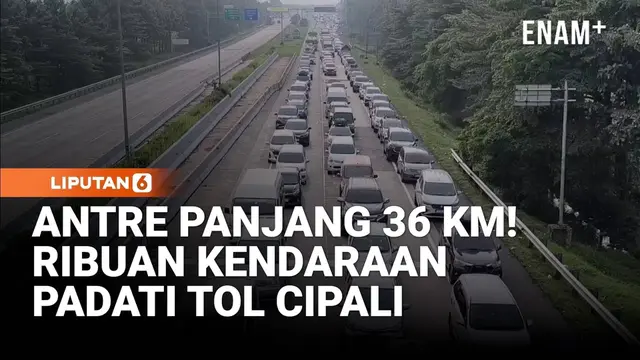 Antre Panjang 36 KM! Ribuan Kendaraan Padati Tol Cipali