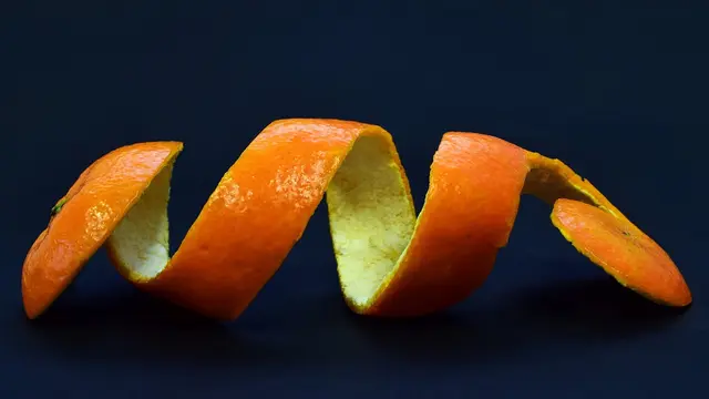 Ilustrasi kulit jeruk