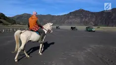 Joki kuda sedang menunggu wisatawan yang melintas menggunakan mobil jeep di Taman Nasional Bromo Tengger Semeru, Jawa Timur, Sabtu (4/11). Harga sewa kuda berkisar Rp 100 - 150 ribu. (Liputan6.com/Fery Pradolo)