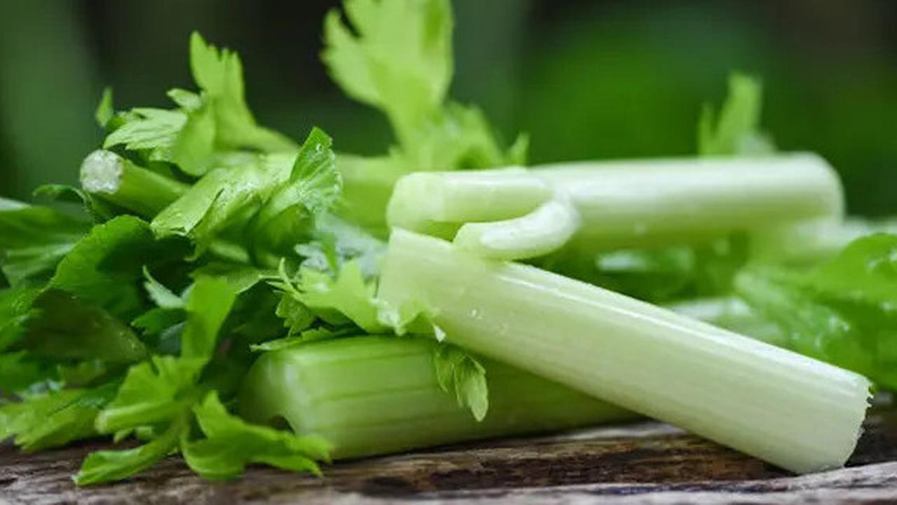 Manfaat Tersembunyi Daun Seledri, Bisa Turunkan Darah Tinggi Secara Alami