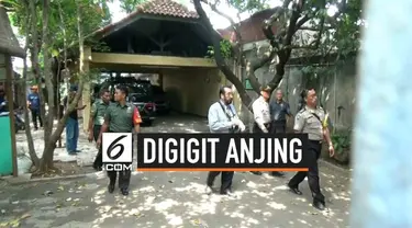 Terkait perkembangan kasus ART yang tewas digigit anjing. Pihak Kepolisian akan meminta keterangan saksi ahli pidana dalam proses penyelidikan.