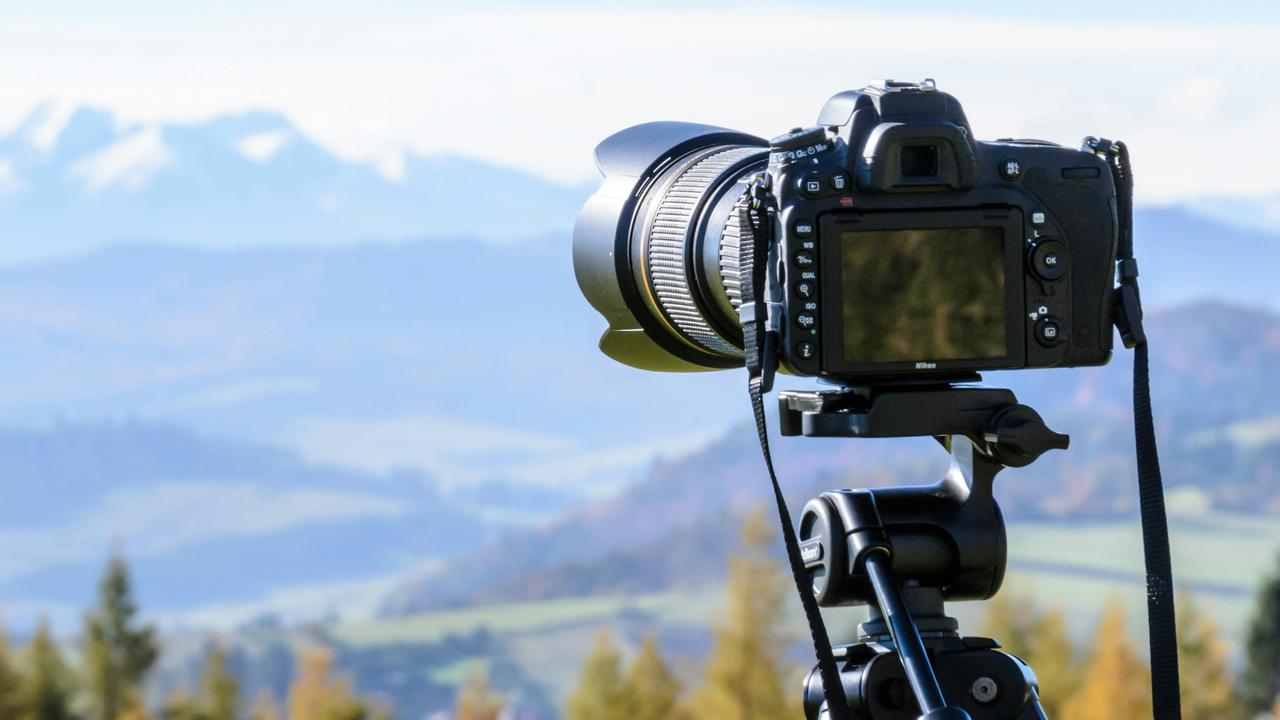 Lebih dari Sekadar Hobi: Temukan Manfaat Fotografi Alam untuk Kedamaian dan Kreativitas