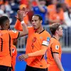 Belanda vs Swedia: Virgil van Dijk Puji Performa Gemilang Oranje Usai Menang 5-1