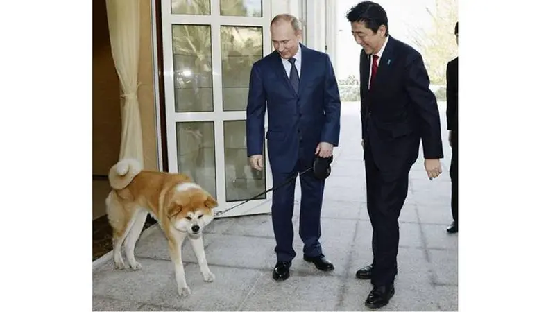 Presiden Putin dan PM Abe bersama anjing peliharaan bernama Yume