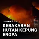 Kebakaran Hutan Kepung Eropa