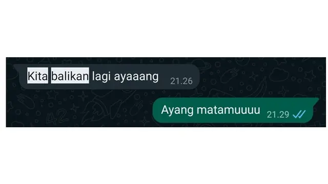 6 Chat Mantan Ajak Balikan Ini Ujungnya Tak Sesuai Harapan, Bikin Nyesek
