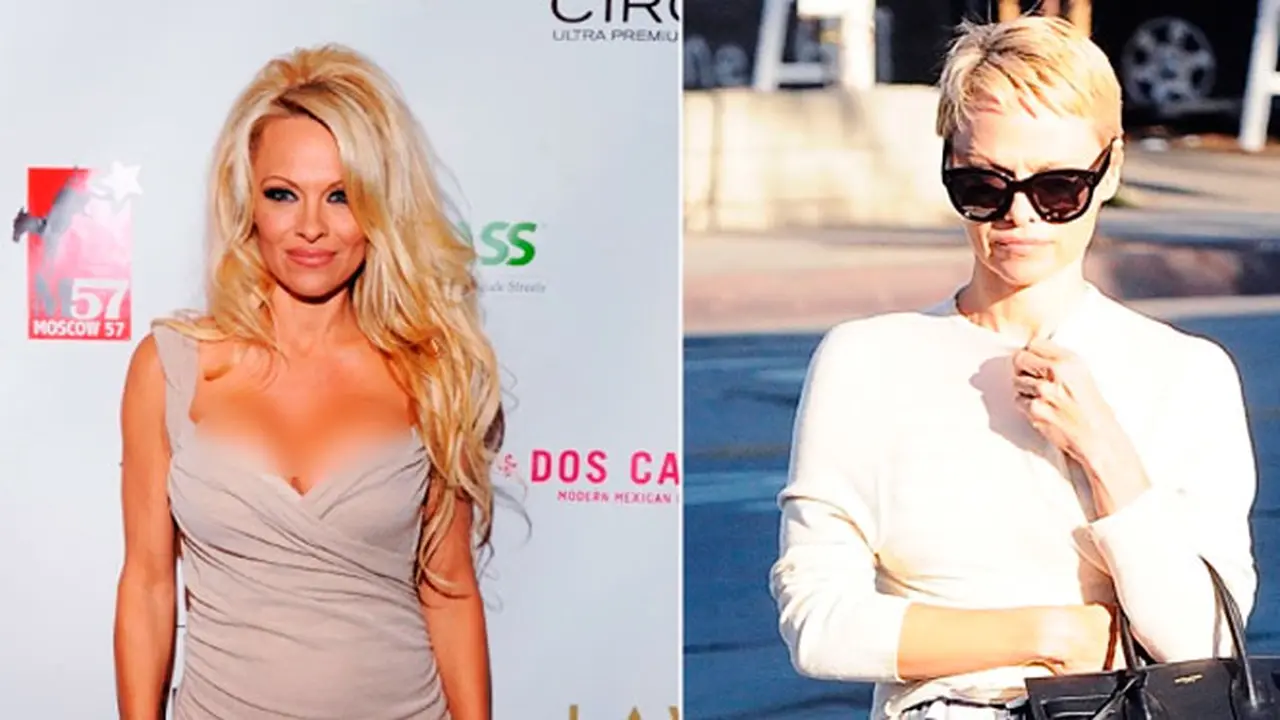 pamela-anderson-131101c.jpg