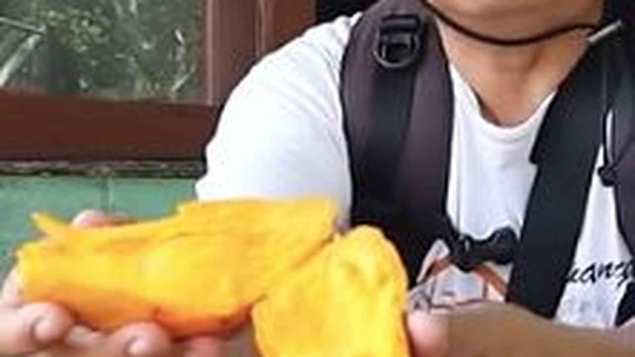 Campolay Melimpah di Kampung Dibuang<br>
