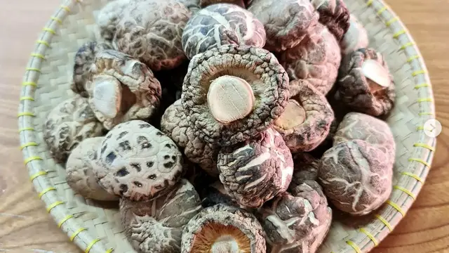 Jamur Shiitake
