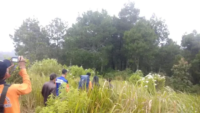 Batas vegetasi di Gunung Slamet. (Liputan6.com/Basarnas/Muhamad Ridlo)
