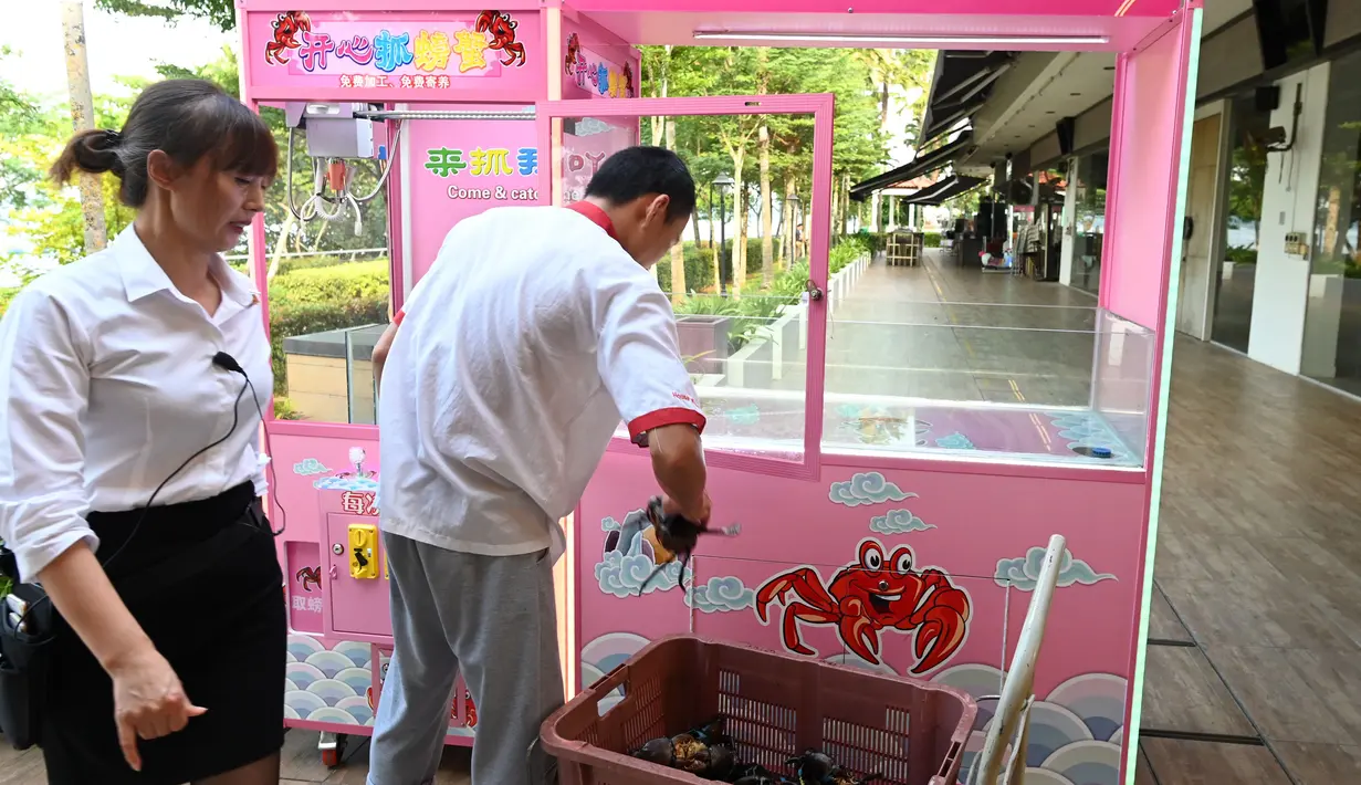 Pekerja restoran memasukkan kepiting ke dalam mesin capit di Singapura, 23 Oktober 2019. Pengunjung bisa mencoba menangkap kepiting hidup dari mesin capit itu dengan kupon seharga US$ 5 dan jika berhasil, restoran akan memasakkannya secara  gratis. (Roslan RAHMAN / AFP)