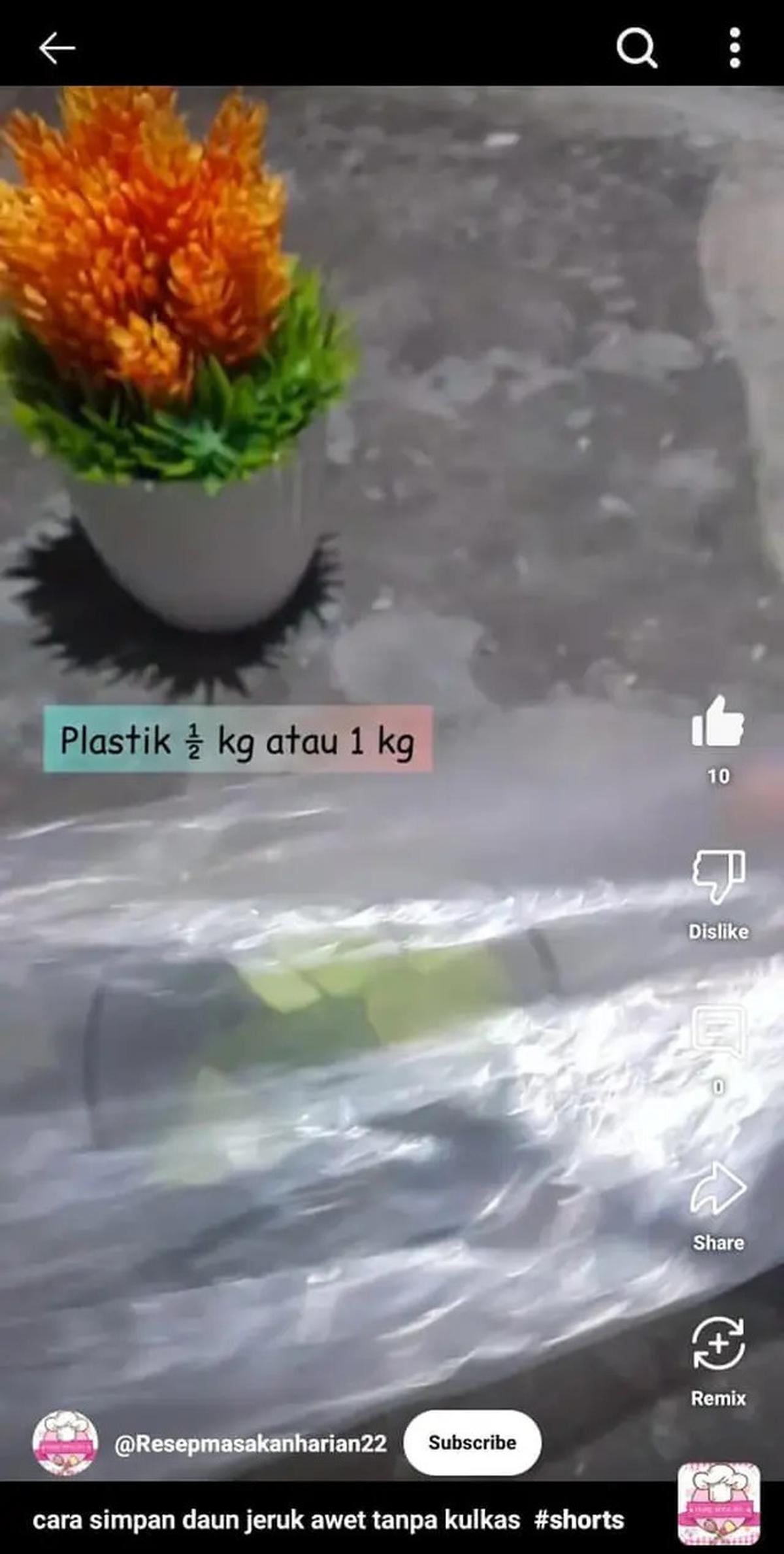 Cara Menyimpan Daun Jeruk agar Tetap Segar hingga Seminggu