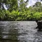 Tim survei Mahasiswa Pencinta Alam Universitas Indonesia (Mapala UI) sedang menyusuri Sungai Serawai dari Desa Rantau Malam untuk mencari titik pasti awal pendakian netral karbon dalam BAKA-RAYA PROJECT. (dok. Mapala UI)