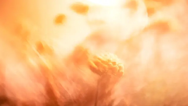 6 Langkah Skincare Rutin dari L’Occitane yang Meremajakan dan Membuat Kulit Bersinar