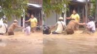 Lurah nyaris terseret banjir (Instagram/@terangmedia)