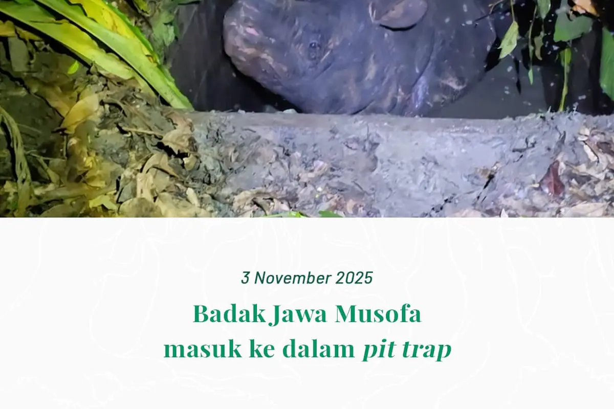 badak