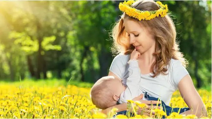 Foto : copyright shutterstock.com