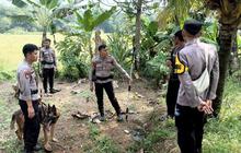 Warga Resah Anjing Pemburu Gigit Bocah hingga Meninggal di Bogor Lepas, Tim K9 Dikerahkan Menyisir Hutan Jasinga
