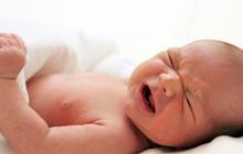 12-12-12, enam bayi lahir di rumah sakit Jakarta Barat