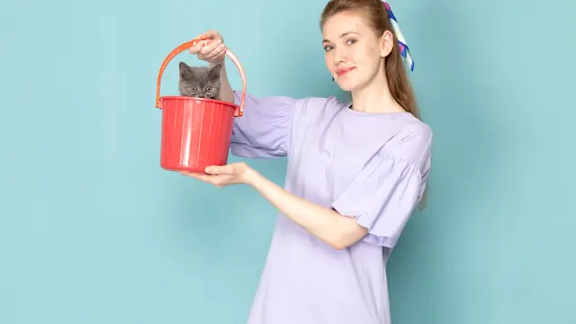 Apakah Kucing Adalah Cairan (Likuid)?
