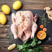 ilustrasi kalkun/Africa Studio/Shutterstock