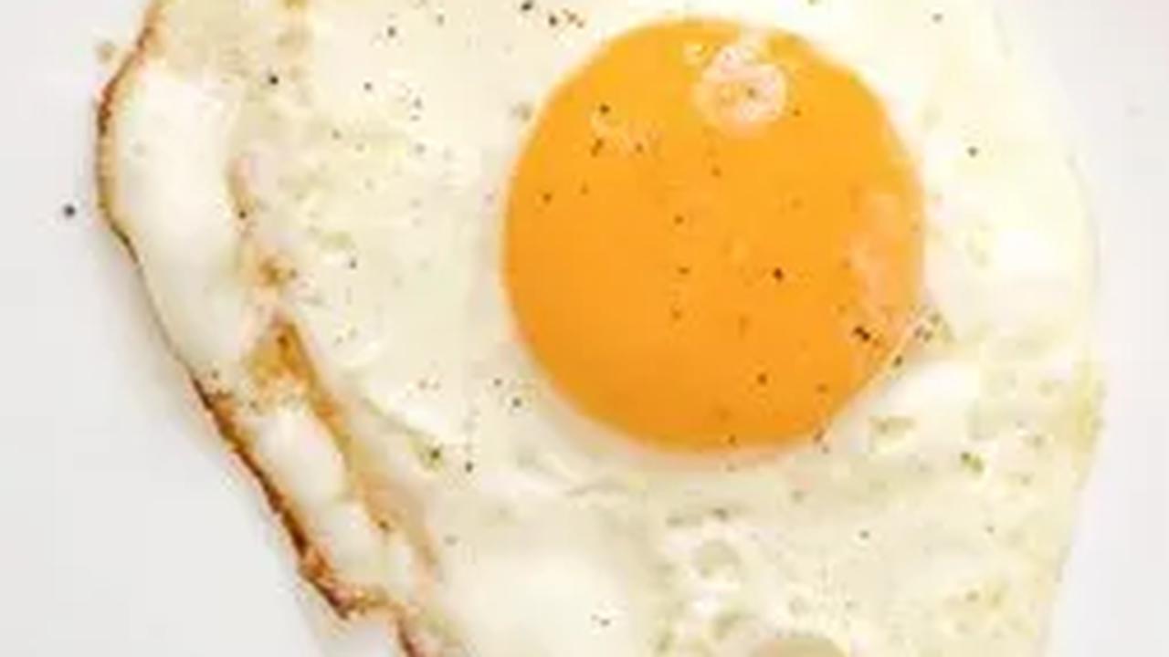 Mulai dari telur, udang, hingga tempe dan quinoa, variasi makanan tinggi protein dapat menjadi pilihan sehat untuk anak-anak dan dewasa.