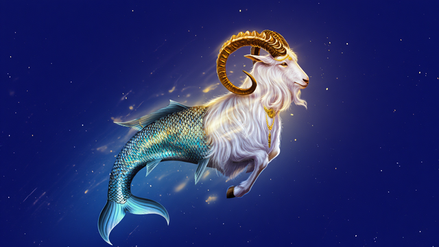 Capricorn Zodiac Sign