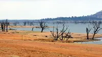 Foto ilustrasi kekeringan di Australia. Foto diambil pada 2009 di Danau Hume, perbatasan Negara Bagian Victoria, memperlihatkan keringnya Sungai Murrays yang mengaliri Australia bagian barat (TORSTEN BLACKWOOD / AFP)